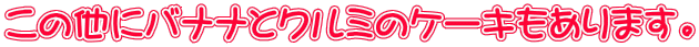 ̑ɃoiiƃN~̃P[L܂B
